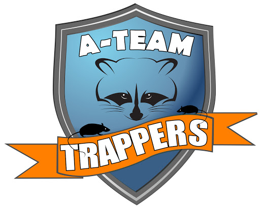 Animal Control Service «A-Team Trappers», reviews and photos