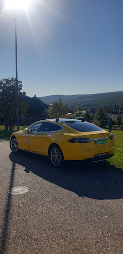Tesla taxi Budapest