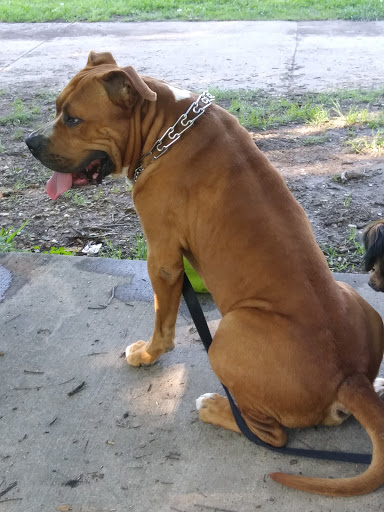 Park «Buffalo Ridge Park», reviews and photos, 5720 Parkwood Trail, Haltom City, TX 76137, USA