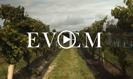 Winery «Laurel Lake Vineyards», reviews and photos, 3165 Main Rd, Laurel, NY 11948, USA