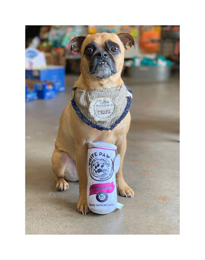 Pet Supply Store «Dog Dish», reviews and photos, 1778 Utica Square, Tulsa, OK 74114, USA