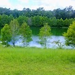 Anita L. Davis Preserve at Lake Henrietta Park