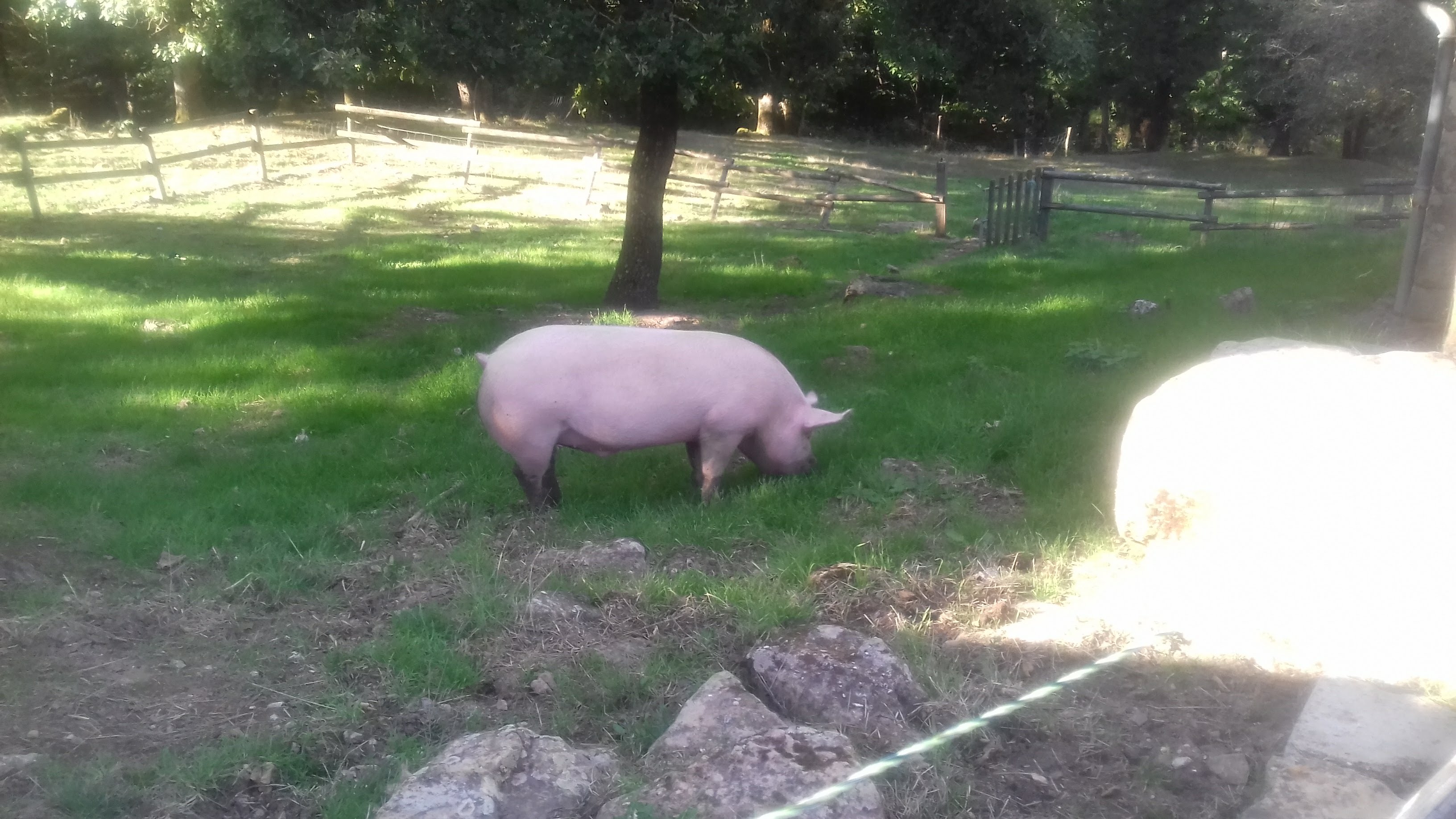 Photo n° 1 de l'avis de Isabelle.u fait le 29/09/2019 à 00:38