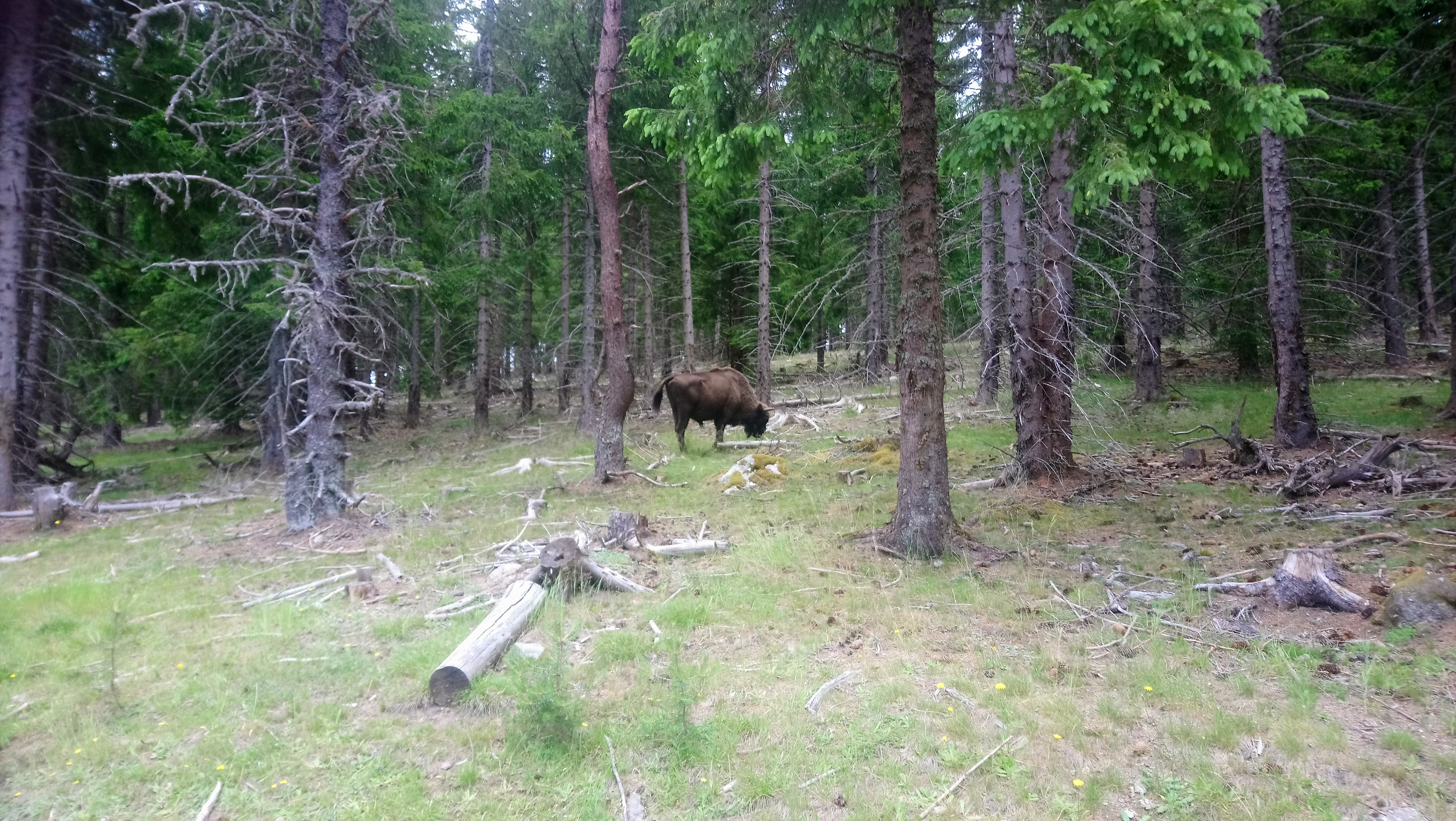 Photo n° 4 de l'avis de Christelle.i fait le 16/07/2019 à 08:11