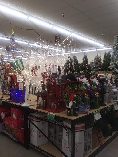 Discount Store «Big Lots», reviews and photos, 7723 Guilbeau Rd #110, San Antonio, TX 78250, USA