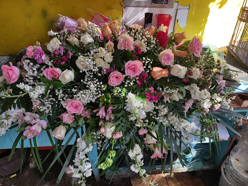 Florist «Flowers Vs Flowers», reviews and photos, 414 Main St, Paterson, NJ 07501, USA