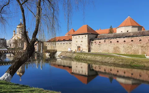 Cetatea Făgărașului image