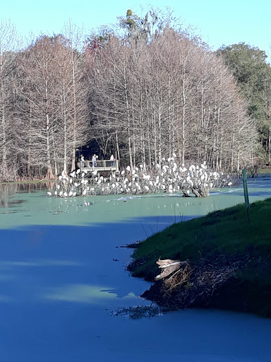 Park «Cypress Wetlands», reviews and photos, 1700 Paris Ave, Port Royal, SC 29935, USA