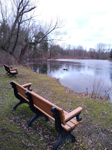 Nature Preserve «Reinstein Woods Nature Preserve», reviews and photos, 93 Honorine Dr, Depew, NY 14043, USA