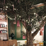 Photo n°2 de l'avis de Stefano.a fait le 29/11/2023 à 07:03 sur le  Il Mannarino à Turin