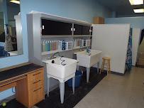 Barkingham Palace - Photo 9 - Car repair in Henderson, NV, Sunrise Manor