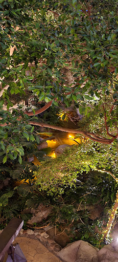 Garden «Mystic Falls Park», reviews and photos, 5111 Boulder Hwy, Las Vegas, NV 89122, USA