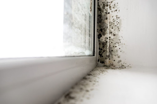 Golden State Mold Removal of Ventura County