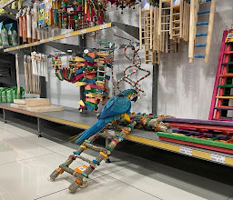 Petworld XXL Somerset West photo