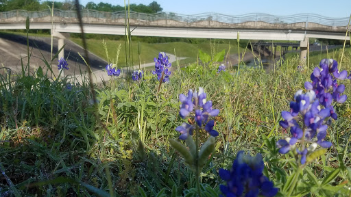 Park «Cottage Grove Park», reviews and photos, 2100 Arabelle St, Houston, TX 77007, USA