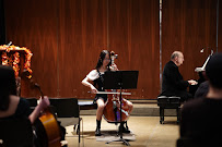 Will Hayes Music Lessons Cello, Violin, Viola, Bass - Photo 4 - Car repair in Mechanicville, NY, Albany