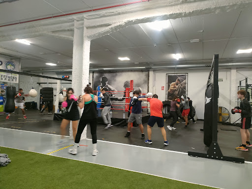 Boxeo Lorca (Los Álamos) en Los Álamos, Murcia