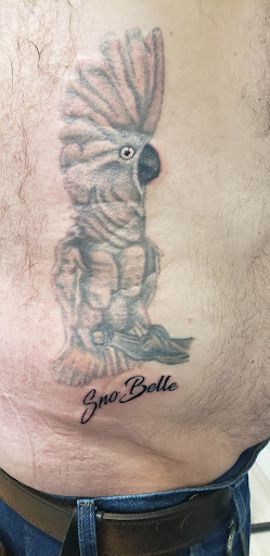 Explore luna moth tattoo ideas, creative tattoo ideas in Toledo, available at Artistik Tat2 and Body Piercing