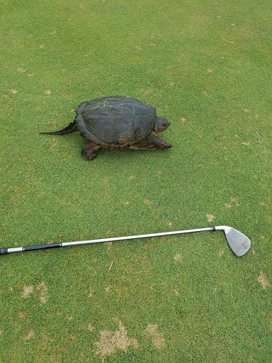 Golf Course «Twin Brook Golf Center», reviews and photos, 1251 Jumping Brook Rd, Tinton Falls, NJ 07753, USA