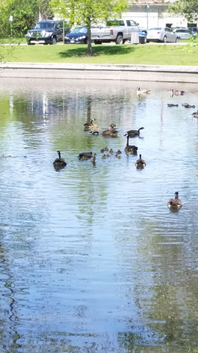 Zoo «Zoo Boise», reviews and photos, 355 Julia Davis Dr, Boise, ID 83702, USA