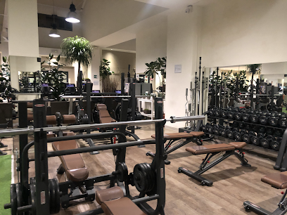 Gym Stilnuovo. Health Fitness Club in Florence - Viale dei Mille, 41ar, 50131 Firenze FI, Italy