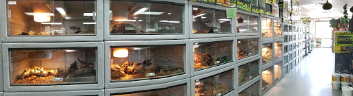 Reptile Store «LLLReptile & Supply Las Vegas», reviews and photos, 8450 W Sahara Ave #105, Las Vegas, NV 89117, USA