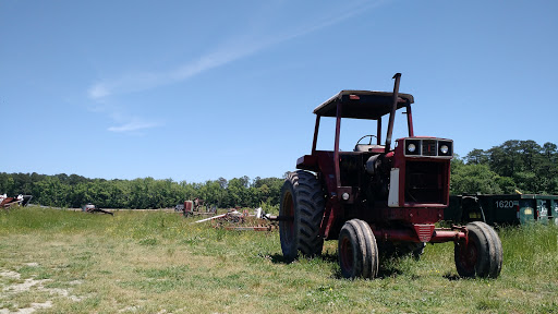 Fruit and Vegetable Store «Henley Farm», reviews and photos, 3513 Charity Neck Rd, Virginia Beach, VA 23456, USA