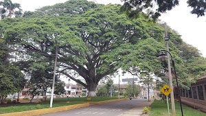 Parque Simón Bolivar - photo 1