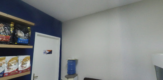 Safepet - Veterinário