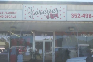 Forever 54 image
