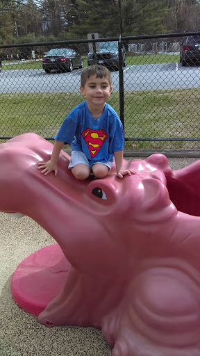 Playground «Haskell Field», reviews and photos, 40 Fairbank Rd, Sudbury, MA 01776, USA