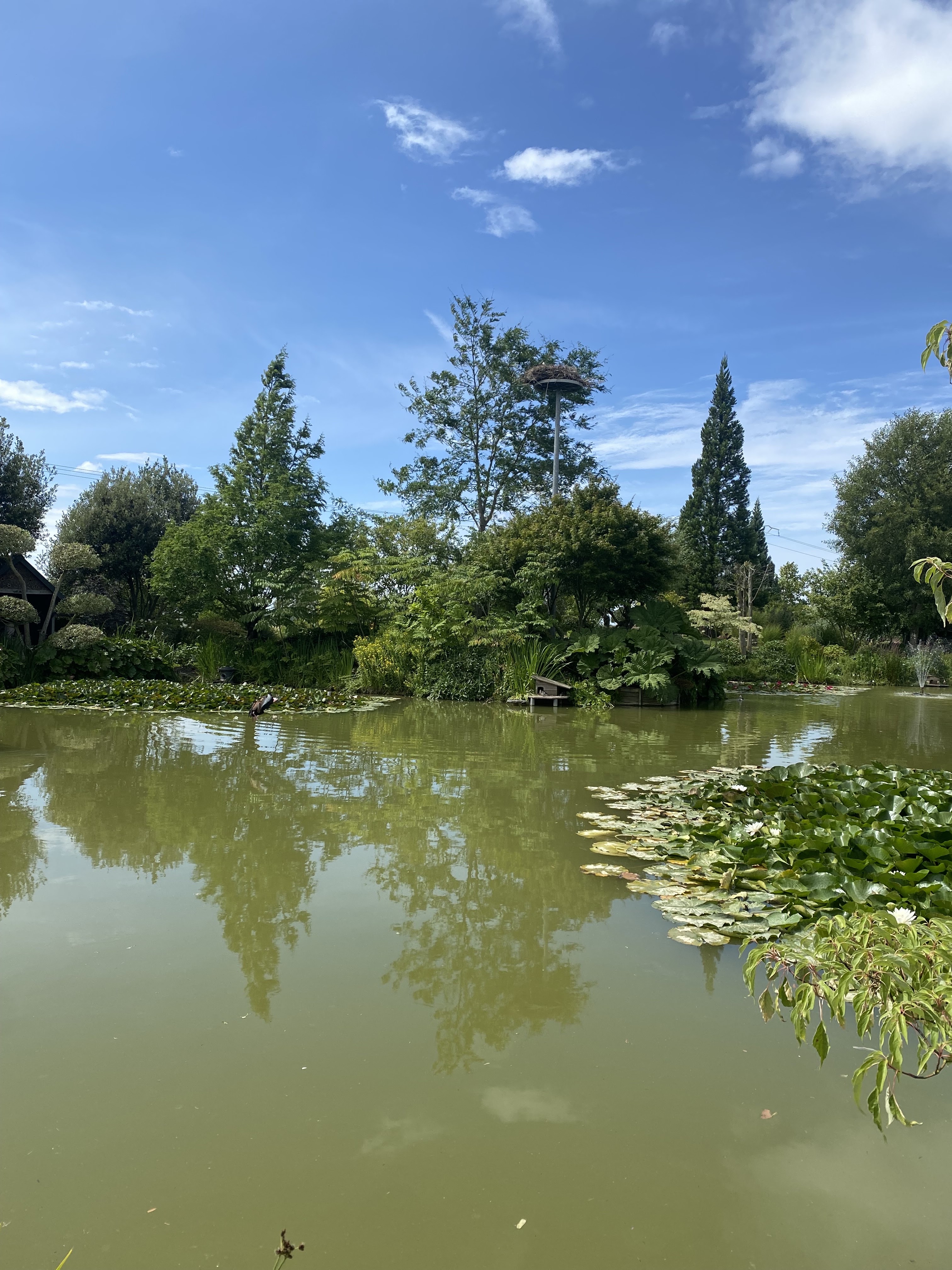 Photo n° 1 de l'avis de Sabrina.a fait le 16/07/2023 à 19:05