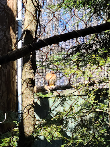 Environmental Organization «VINS Nature Center», reviews and photos, 6565 Woodstock Rd, Quechee, VT 05059, USA