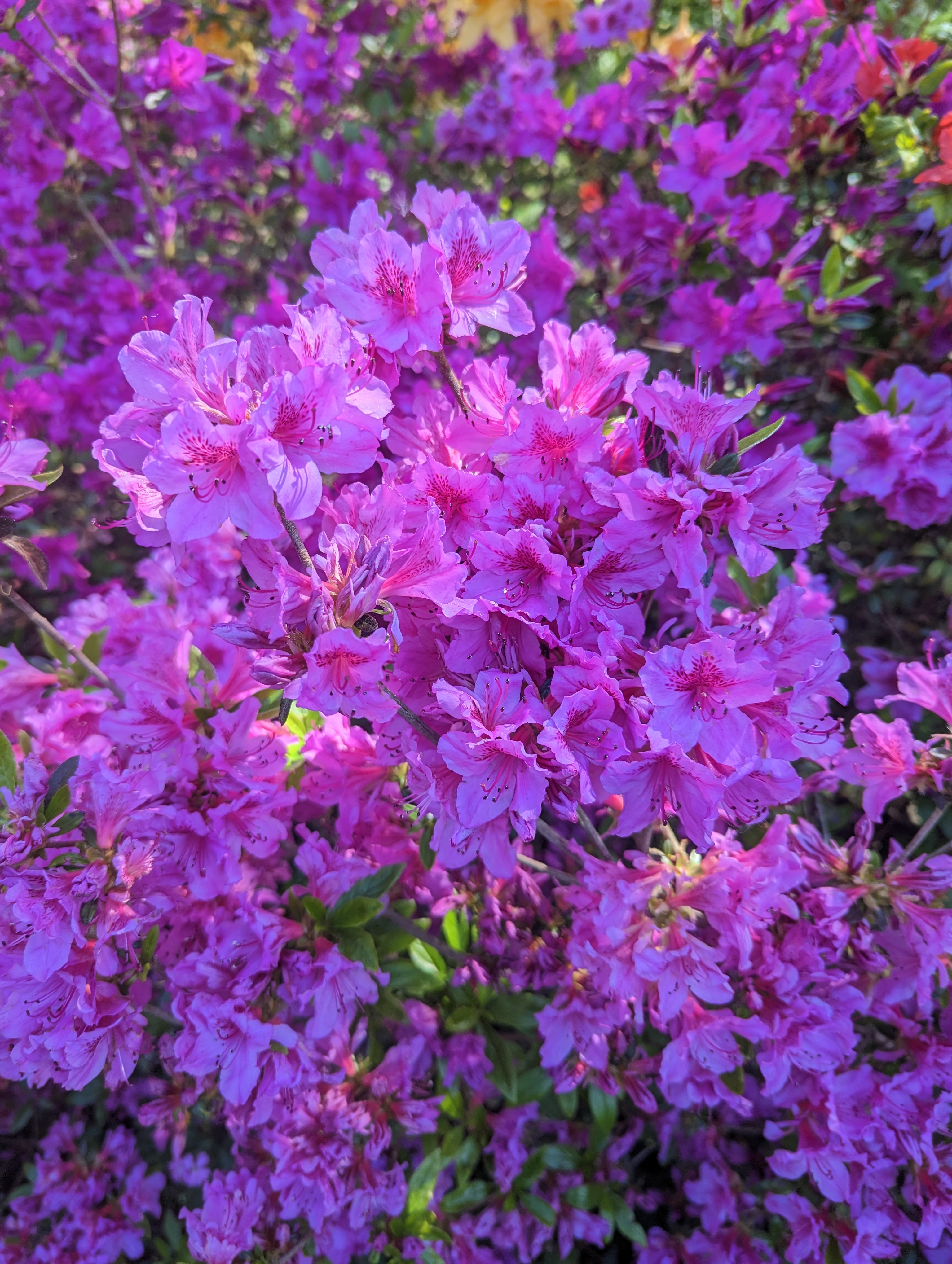 Photo n° 3 de l'avis de Nicolas.. fait le 04/05/2023 à 11:14