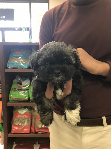 Pet Store «Pets Plus», reviews and photos, 454 TN-46, Dickson, TN 37055, USA