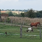 Photo n°3 de l'avis de Cornelia.e fait le 30/09/2021 à 18:43 sur le  Schloss Herrenstein à Gerswalde