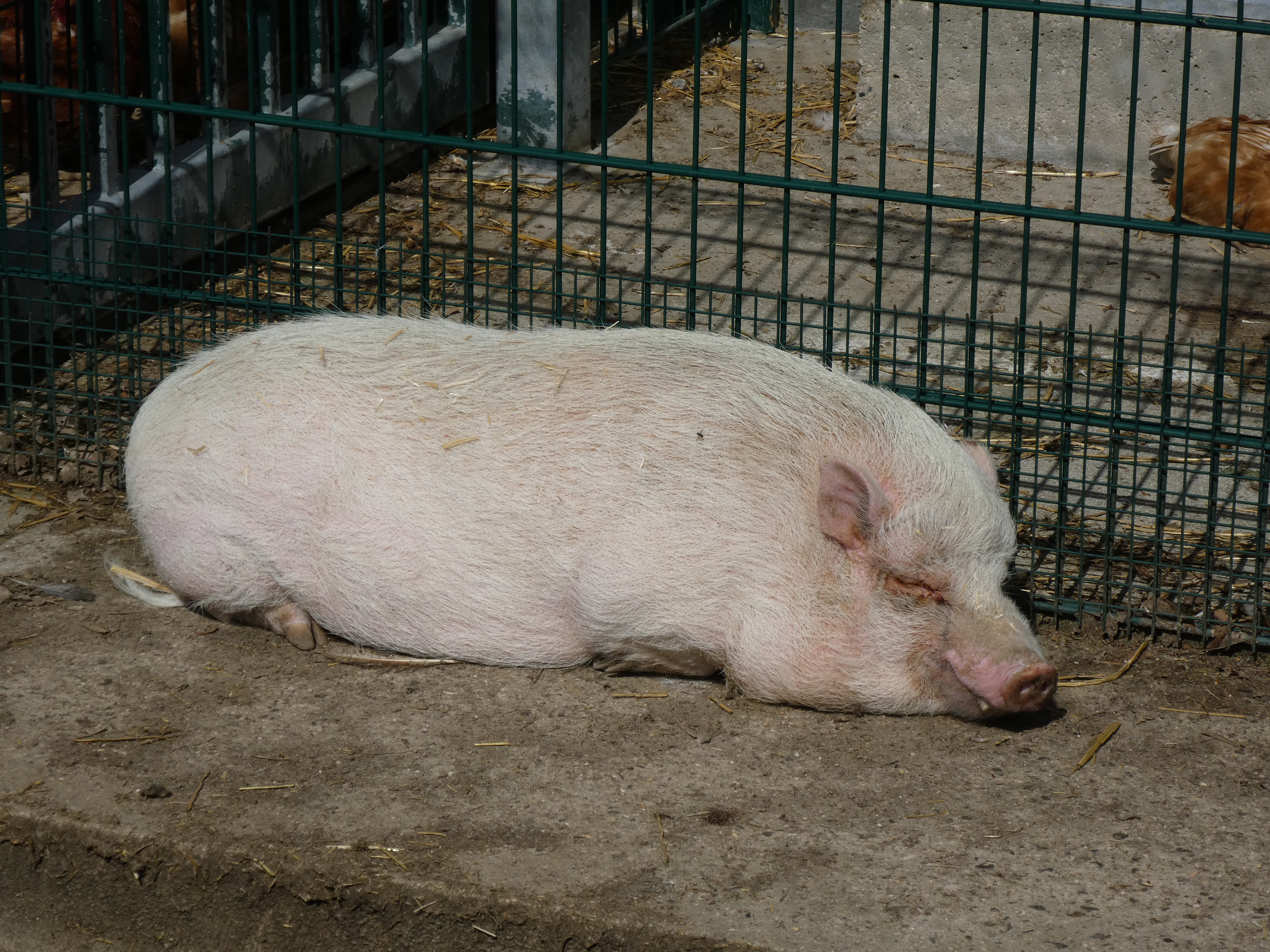 Photo n° 2 de l'avis de Christian.i fait le 15/05/2019 à 11:55