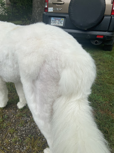 Pet Supply Store «PetSmart», reviews and photos, 4900 Rogers Ave #102a, Fort Smith, AR 72903, USA