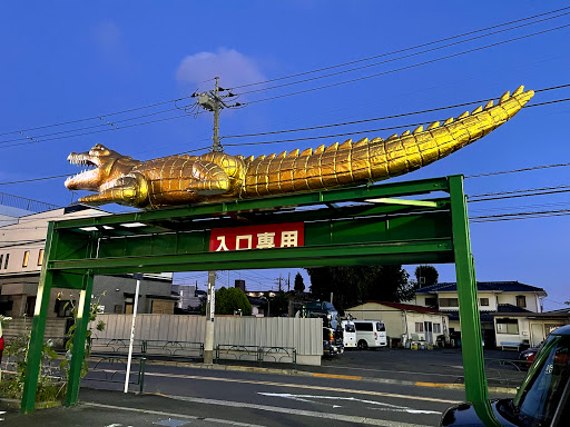 ワニの洗車場