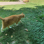 Photo n°31 de l'avis de Roland.a fait le 23/07/2020 à 17:19 sur le  Landhaus Ettenbühl à Bad Bellingen