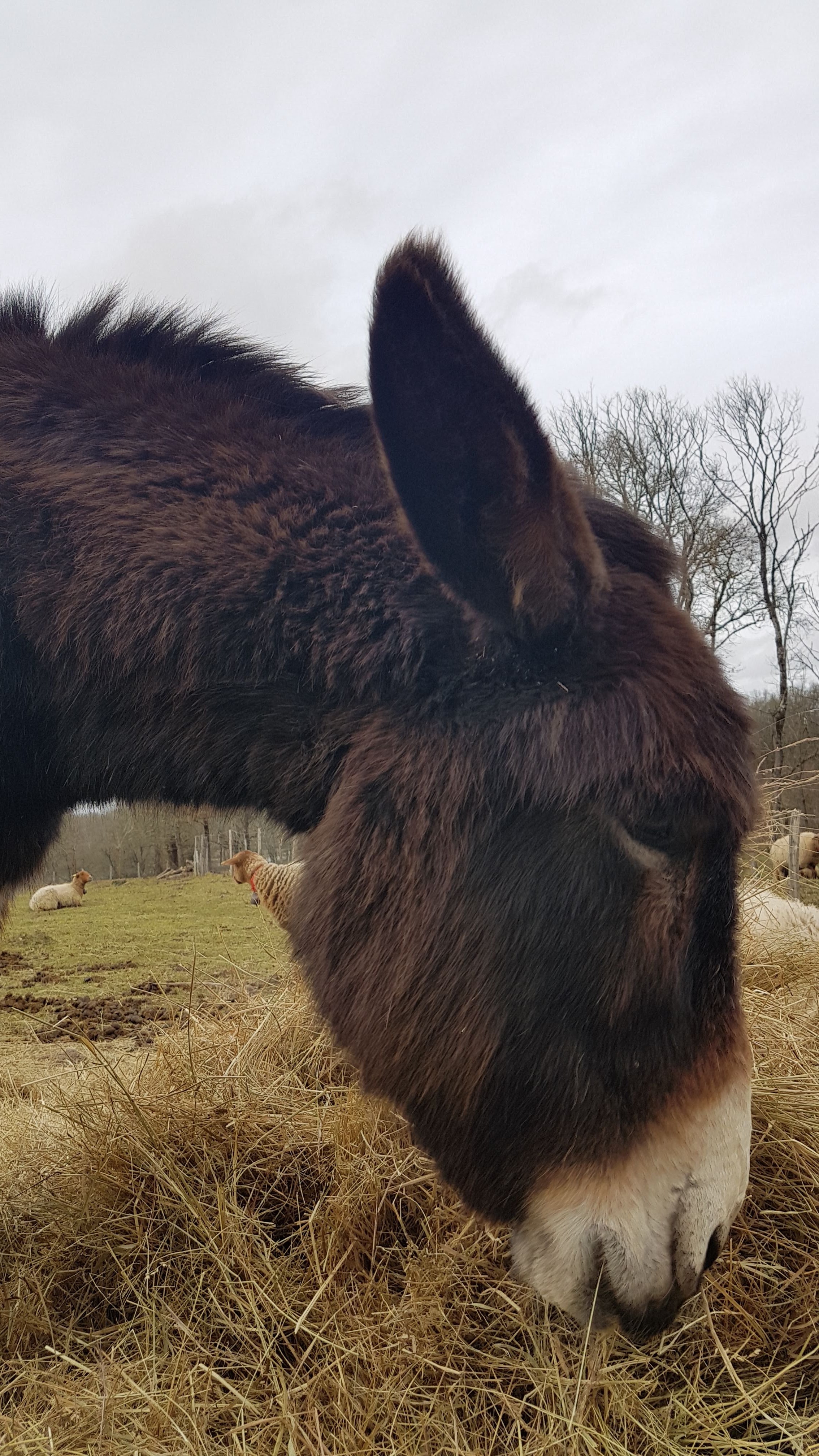 Photo n° 9 de l'avis de Thierry.a fait le 09/02/2019 à 16:21