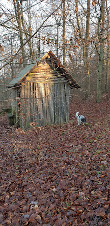 Limesschule Arzbach Wiesenweg 22, 56337 Arzbach, Deutschland