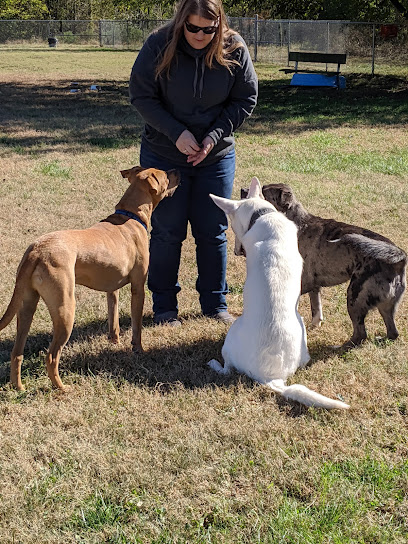 Central Bark Dog Park (Members Only)