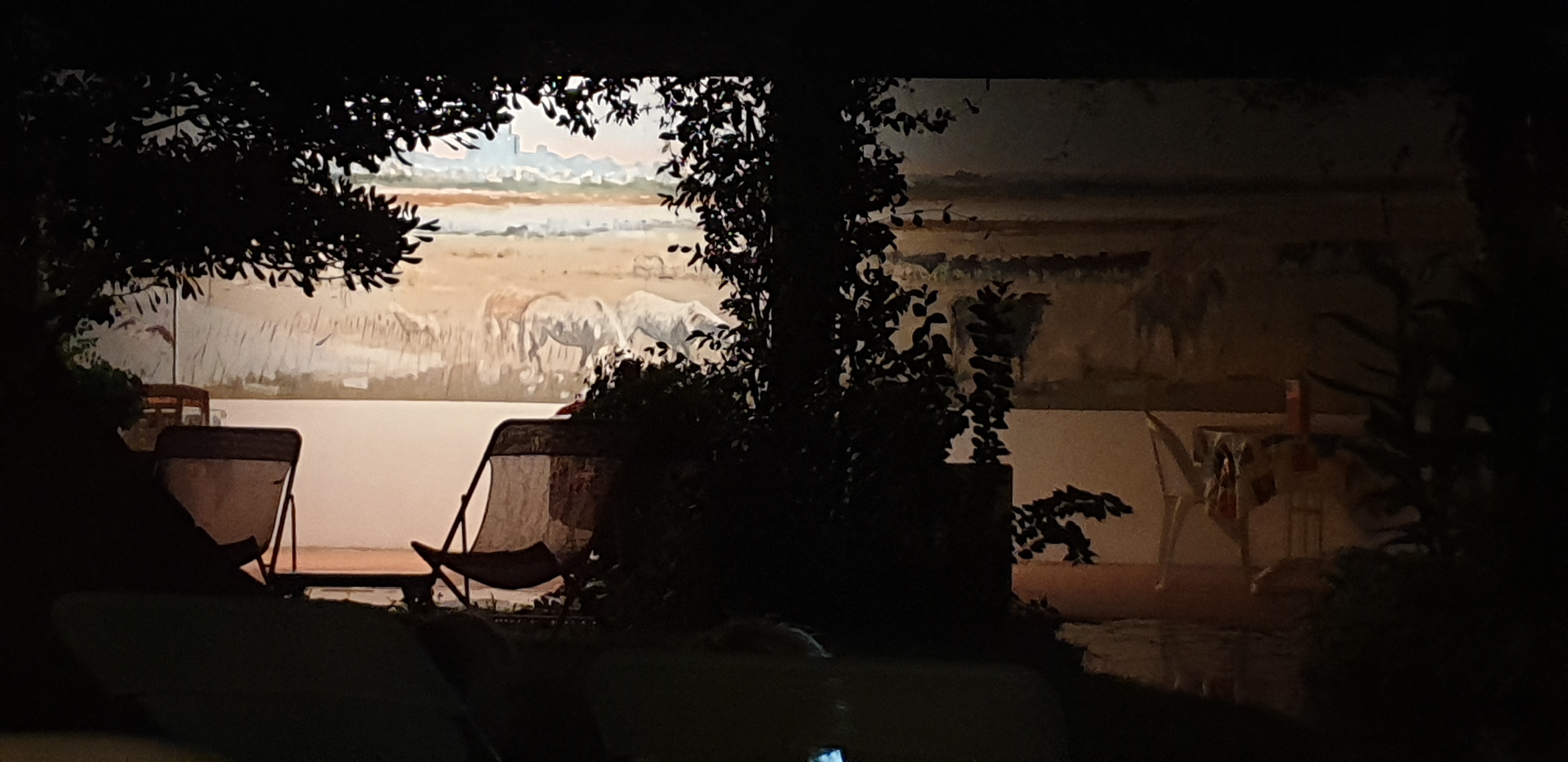 Photo n° 4 de l'avis de Daniele.o fait le 11/08/2019 à 11:18