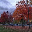 Cypress Street Playground