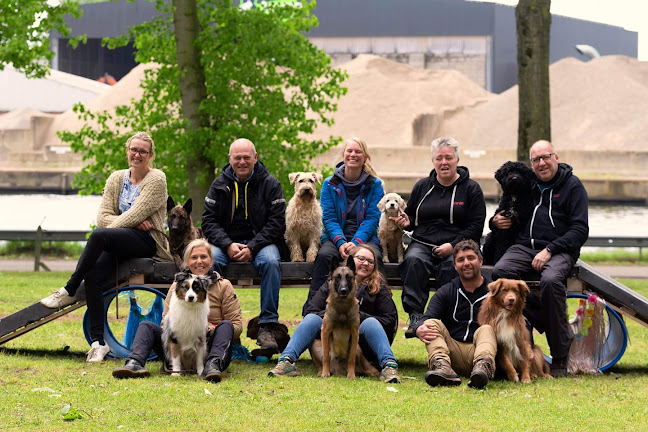 Beoordelingen van De Moedige Bijters Bvba in Beringen - Hondentrainer