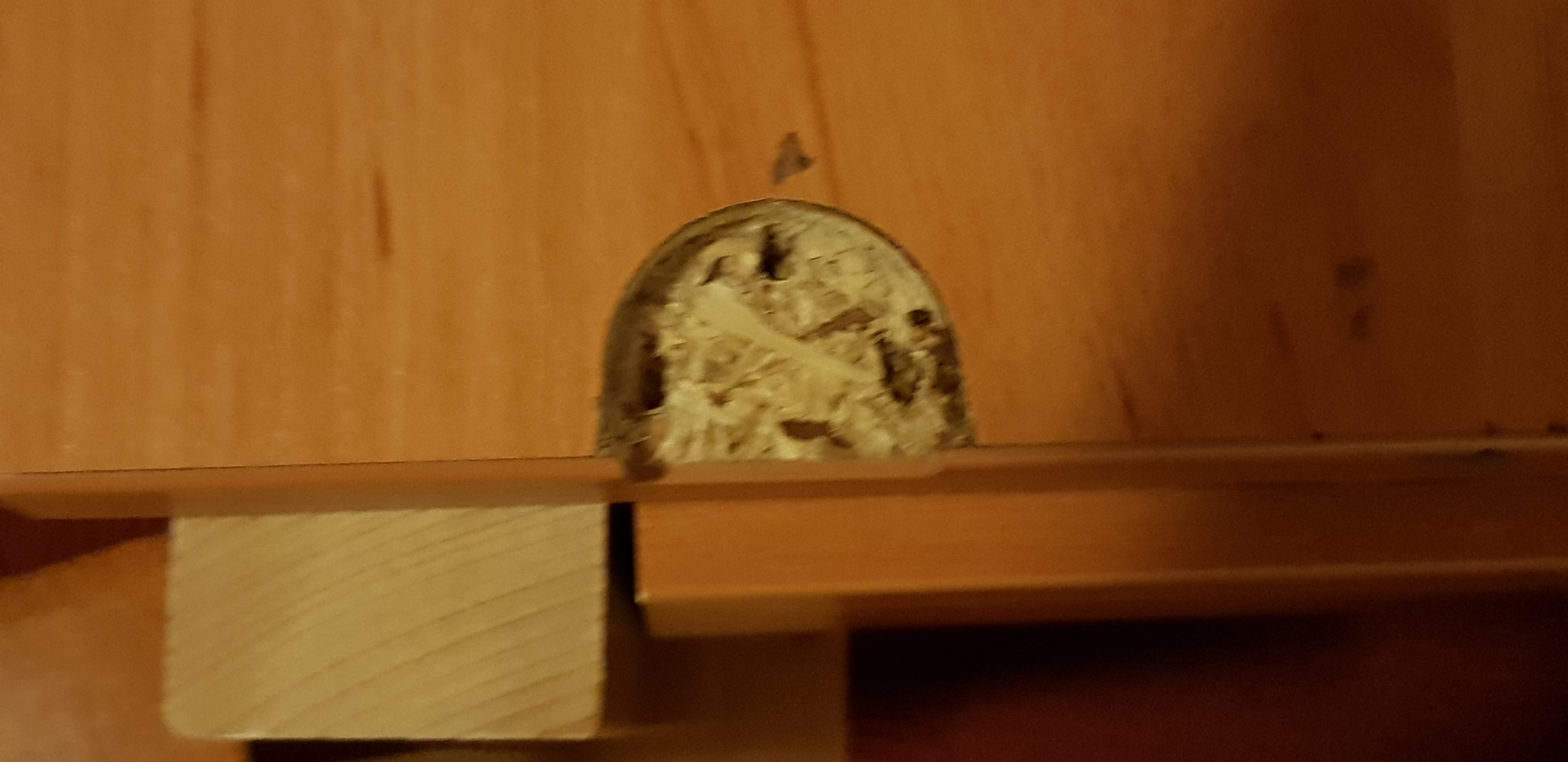 Photo n° 2 de l'avis de MOAMOINA.r fait le 17/07/2018 à 18:48