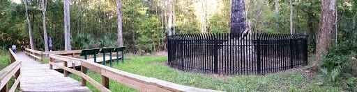 Park «Big Tree Park», reviews and photos, 761 General Hutchison Pkwy, Longwood, FL 32750, USA