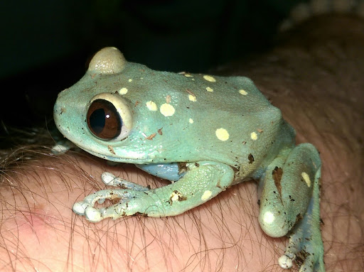 Pet Store «Animal Ark», reviews and photos, 2730 Brookdale Dr, Kingwood, TX 77339, USA