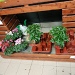 Photo n°1 de l'avis de Luciana.e fait le 27/11/2019 à 12:11 sur le  COOP à Rome